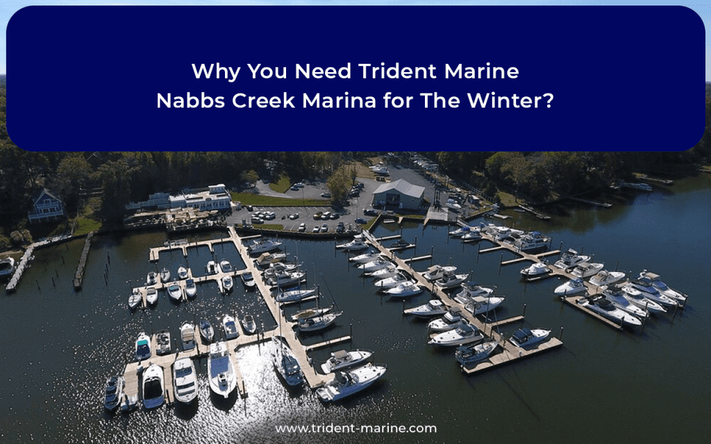 Why You Need Trident Marine Nabbs Creek Marina for The Winter