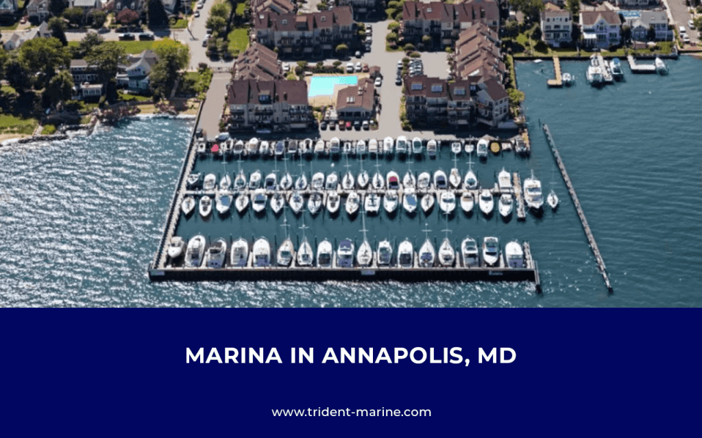 Marina in Annapolis