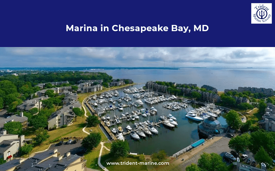 Marina in Chesapeake Bay, MD