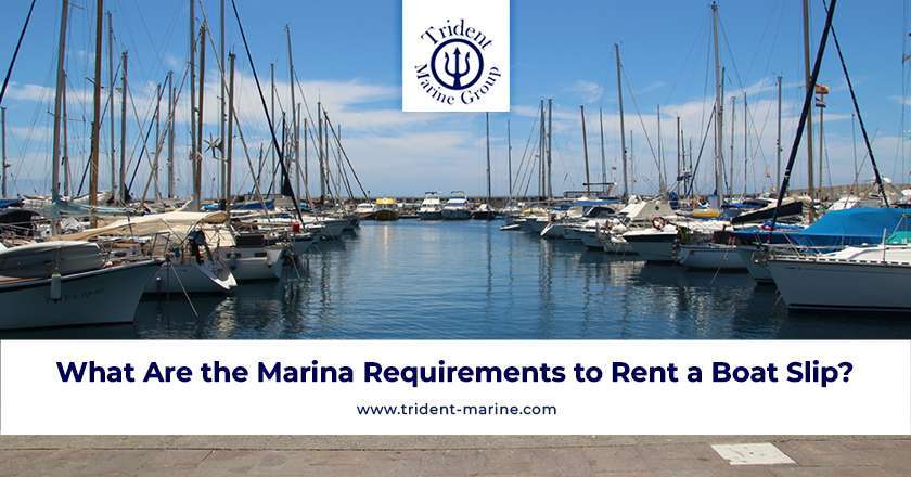 What Are the Marina Requirements to Rent a Boat Slip