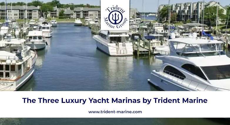 Luxury Yacht Marinas